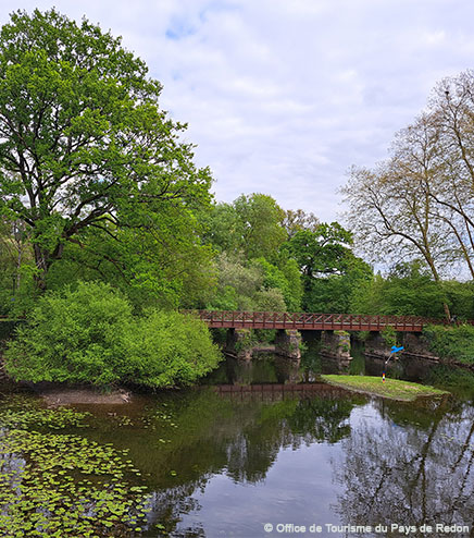 La rivière du Don aux alentours l’Hermitage en Bretagne