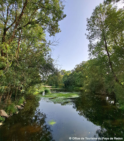 La rivière de la vallée du Don aux alentours du camping l’Hermitage en Loire-Atlantique