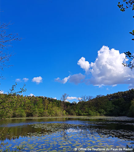 La rivière de la vallée du Don