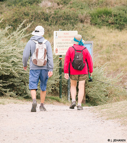 Randonnées sur l’'Ile aux Pies, aux alentours du camping l’Hermitage en Bretagne