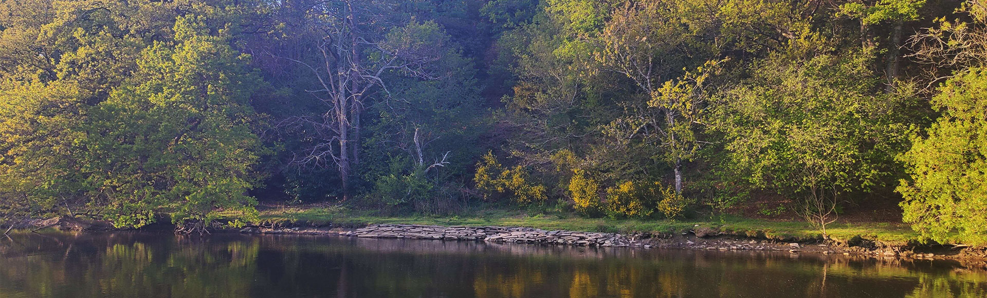 Le camping de l'Hermitage, situé à Guémené-Penfao en Loire-Atlantique, est un véritable paradis pour les amateurs de pêche !