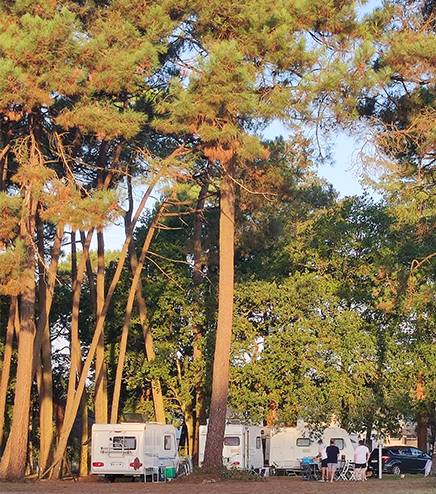 Les emplacements de camping nichés dans un écrin de verdure, pour caravanes du camping l’Hermitage en Bretagne 