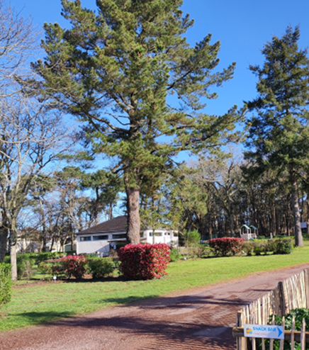 Les emplacements de camping du camping l’Hermitage à Guémené Penfao 