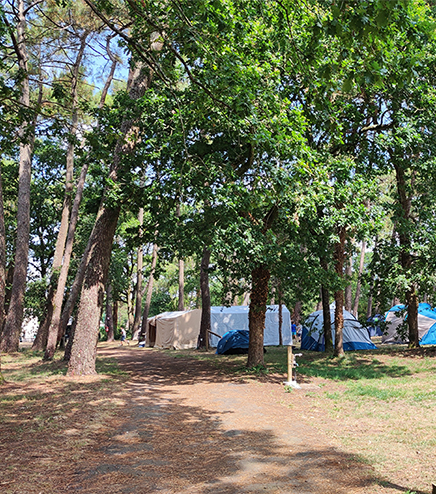 Emplacements de camping pour tente du camping l’Hermitage