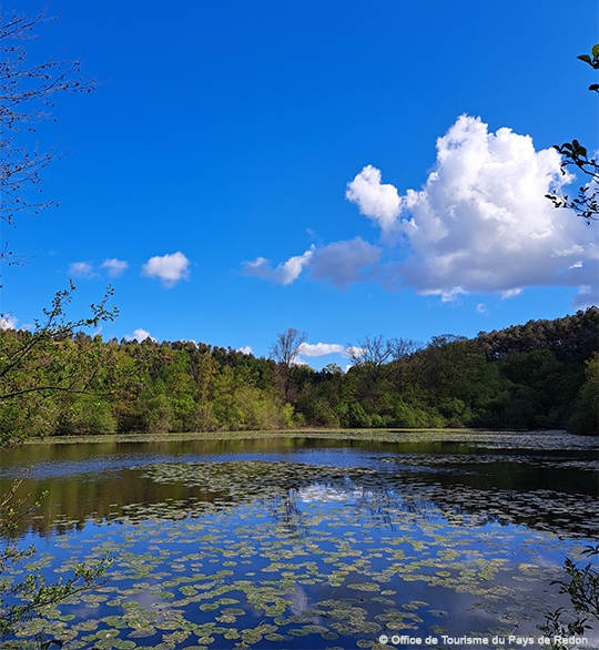 Pêche en Loire-Atlantique : un séjour au camping de l'Hermitage