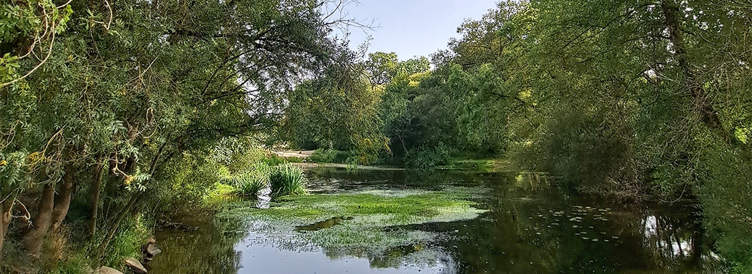 Le camping de l'Hermitage est à seulement 100 m du Don, affluent de la Vilaine