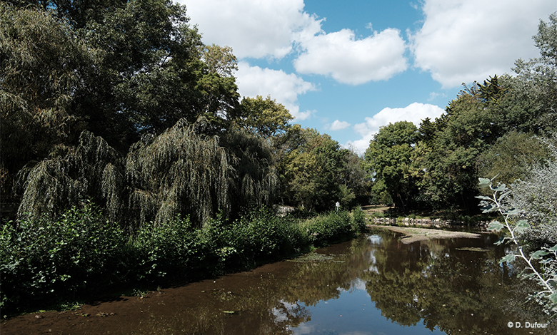 Pêche sur les bords du Don : camping l’Hermitage en Loire-Atlantique.